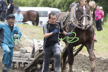 東北馬力大会 遠野馬の里大会