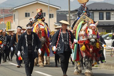 「チャグチャグ馬コ」のパレードが矢巾町で初めて行われました