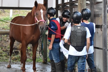 遠野緑峰高校「馬事研究会」を紹介します