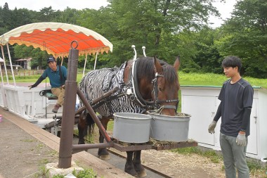 「小岩井農場まきば園」紹介