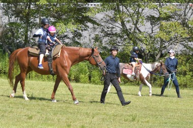 遠野馬の里で引馬体験