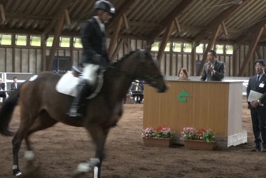 「遠野市乗用馬市場」が開催されました