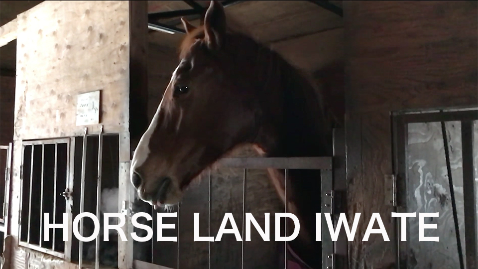 HORSE LAND IWATE – 岩手県馬事文化地域連携連絡協議会のホームページ